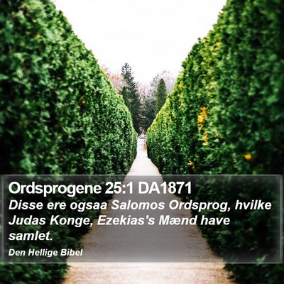 Ordsprogene 25:1 DA1871 Bible Verse Image
