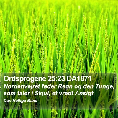 Ordsprogene 25:23 DA1871 Bible Verse Image