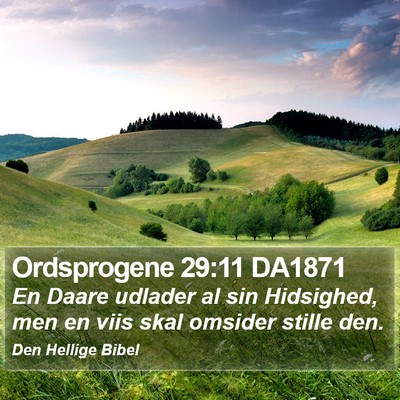 Ordsprogene 29:11 DA1871 Bible Verse Image