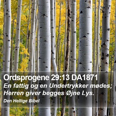 Ordsprogene 29:13 DA1871 Bible Verse Image