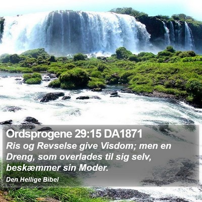 Ordsprogene 29:15 DA1871 Bible Verse Image