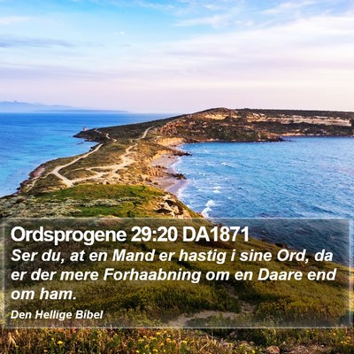 Ordsprogene 29:20 DA1871 Bible Verse Image