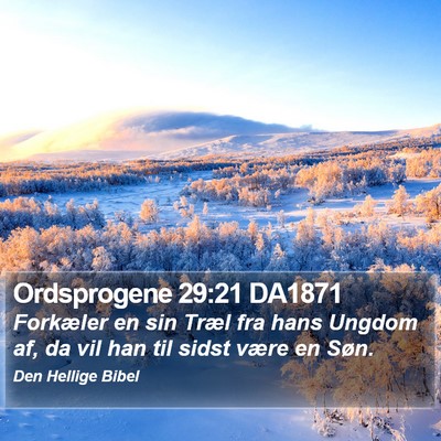 Ordsprogene 29:21 DA1871 Bible Verse Image