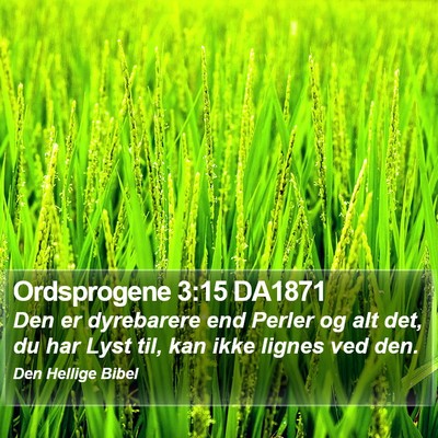 Ordsprogene 3:15 DA1871 Bible Verse Image