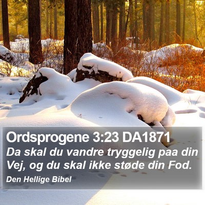 Ordsprogene 3:23 DA1871 Bible Verse Image