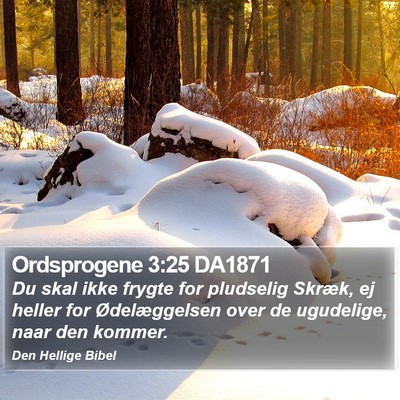 Ordsprogene 3:25 DA1871 Bible Verse Image