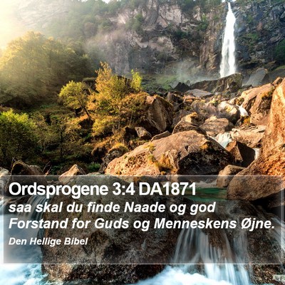 Ordsprogene 3:4 DA1871 Bible Verse Image