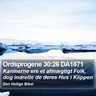 Ordsprogene 30:26 DA1871 Bible Verse Image