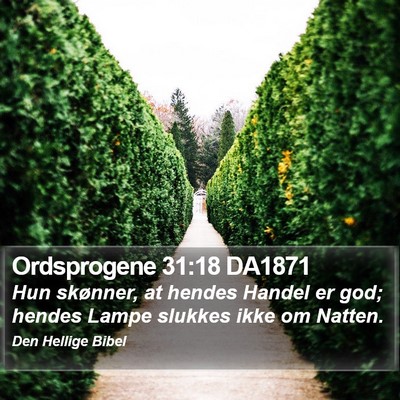 Ordsprogene 31:18 DA1871 Bible Verse Image