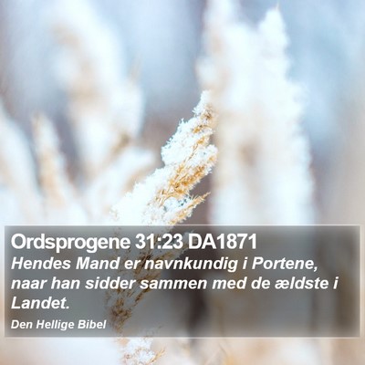 Ordsprogene 31:23 DA1871 Bible Verse Image