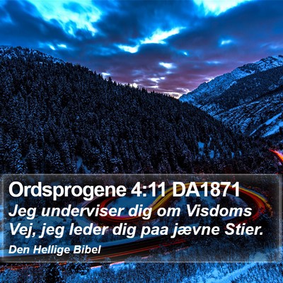 Ordsprogene 4:11 DA1871 Bible Verse Image