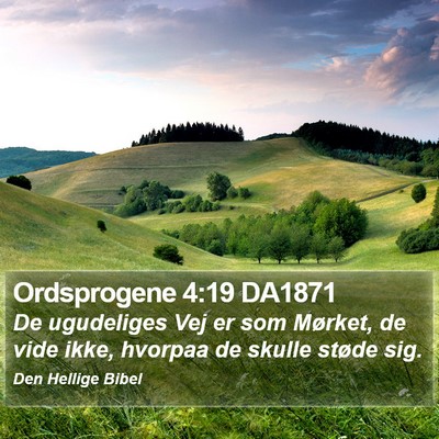 Ordsprogene 4:19 DA1871 Bible Verse Image