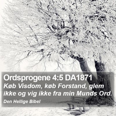Ordsprogene 4:5 DA1871 Bible Verse Image