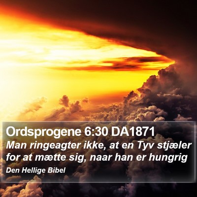 Ordsprogene 6:30 DA1871 Bible Verse Image