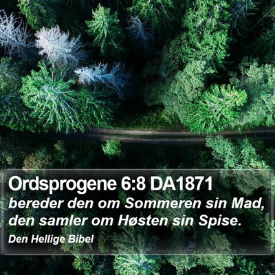 Ordsprogene 6:8 DA1871 Bible Verse Image