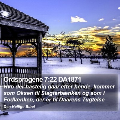 Ordsprogene 7:22 DA1871 Bible Verse Image