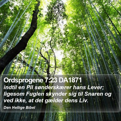 Ordsprogene 7:23 DA1871 Bible Verse Image