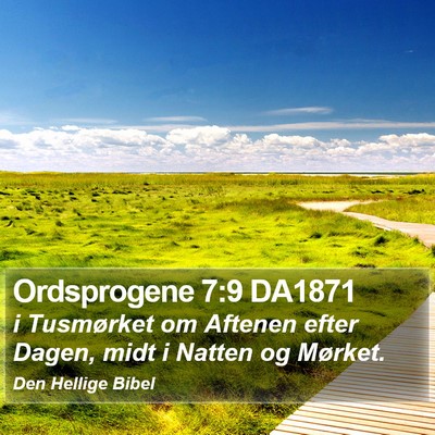 Ordsprogene 7:9 DA1871 Bible Verse Image