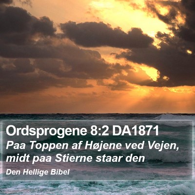 Ordsprogene 8:2 DA1871 Bible Verse Image