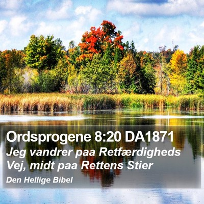Ordsprogene 8:20 DA1871 Bible Verse Image