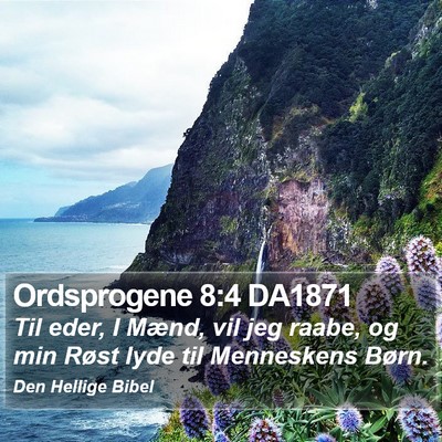 Ordsprogene 8:4 DA1871 Bible Verse Image