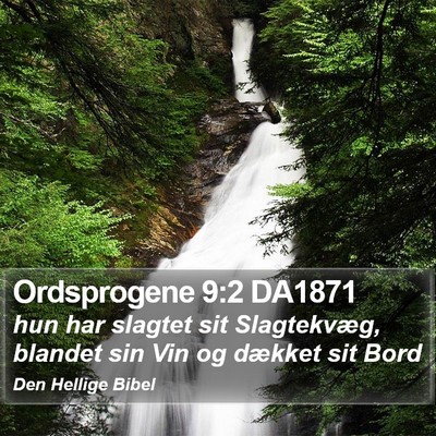 Ordsprogene 9:2 DA1871 Bible Verse Image