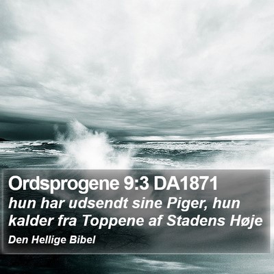 Ordsprogene 9:3 DA1871 Bible Verse Image
