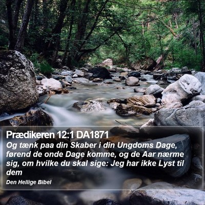 Prædikeren 12:1 DA1871 Bible Verse Image