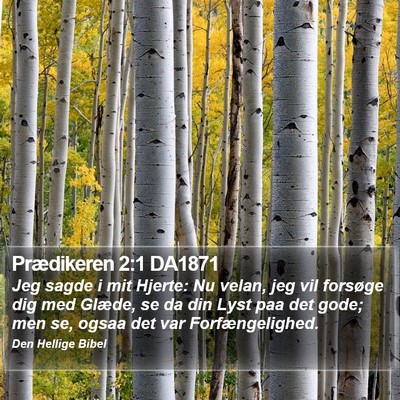 Prædikeren 2:1 DA1871 Bible Verse Image