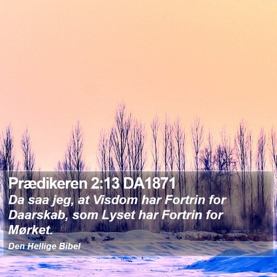 Prædikeren 2:13 DA1871 Bible Verse Image