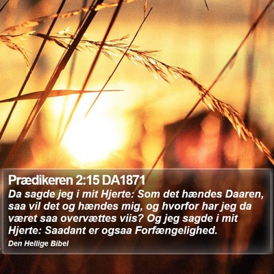 Prædikeren 2:15 DA1871 Bible Verse Image