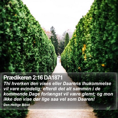 Prædikeren 2:16 DA1871 Bible Verse Image