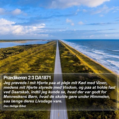 Prædikeren 2:3 DA1871 Bible Verse Image