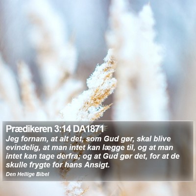 Prædikeren 3:14 DA1871 Bible Verse Image