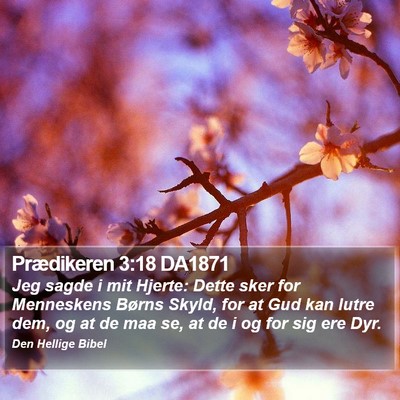 Prædikeren 3:18 DA1871 Bible Verse Image