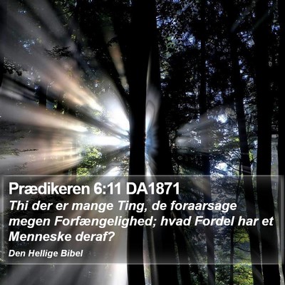 Prædikeren 6:11 DA1871 Bible Verse Image