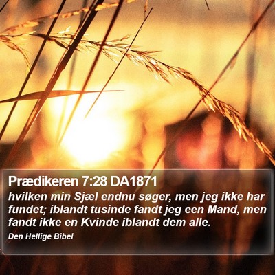 Prædikeren 7:28 DA1871 Bible Verse Image