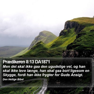 Prædikeren 8:13 DA1871 Bible Verse Image
