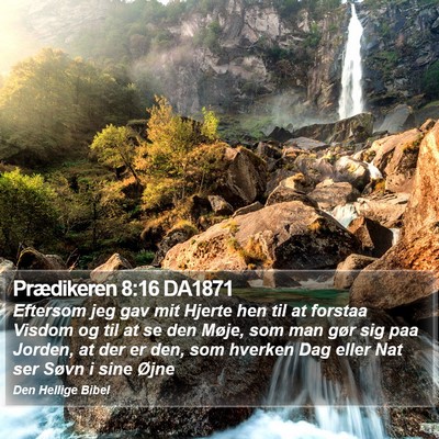 Prædikeren 8:16 DA1871 Bible Verse Image