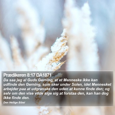 Prædikeren 8:17 DA1871 Bible Verse Image