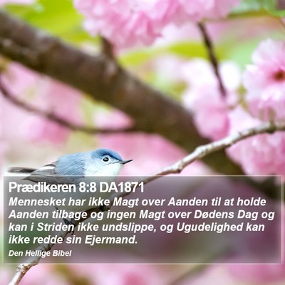 Prædikeren 8:8 DA1871 Bible Verse Image