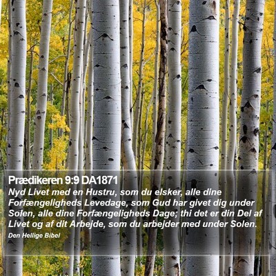 Prædikeren 9:9 DA1871 Bible Verse Image