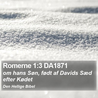 Romerne 1:3 DA1871 Bible Verse Image