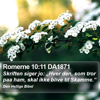 Romerne 10:11 DA1871 Bible Verse Image