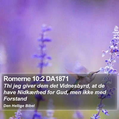 Romerne 10:2 DA1871 Bible Verse Image