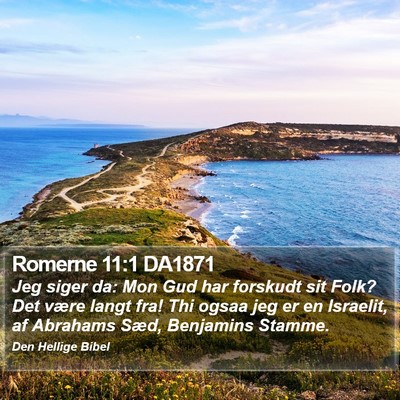 Romerne 11:1 DA1871 Bible Verse Image