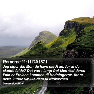 Romerne 11:11 DA1871 Bible Verse Image