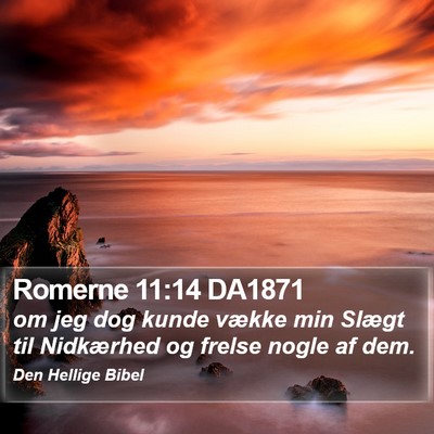 Romerne 11:14 DA1871 Bible Verse Image