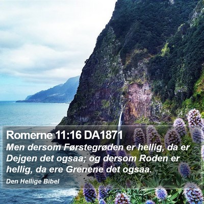Romerne 11:16 DA1871 Bible Verse Image