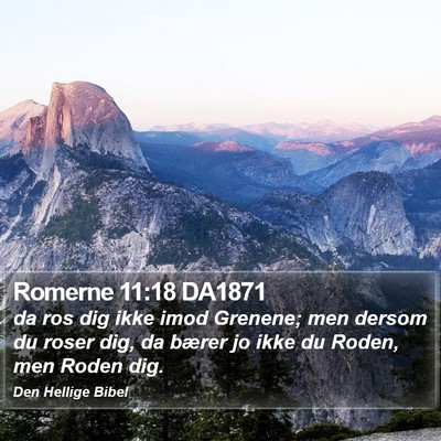 Romerne 11:18 DA1871 Bible Verse Image